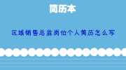 区域销售总监岗位个人简历怎么写