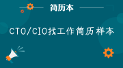 CTO/CIO找工作简历样本