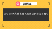 分公司/代表处负责人的简历内容怎么填写