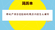 房地产项目招投标的简历内容怎么填写