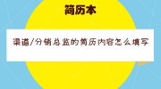 渠道/分销总监的简历内容怎么填写