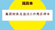 集团财务总监找工作简历样本