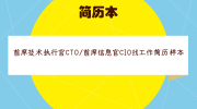 首席技术执行官CTO/首席信息官CIO找工作简历样本