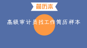 高级审计员找工作简历样本