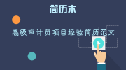 高级审计员项目经验简历范文