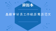 高级审计员工作经历简历范文