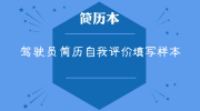 驾驶员简历自我评价填写样本