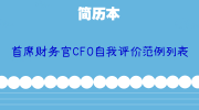 首席财务官CFO自我评价范例列表