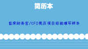 首席财务官/CFO简历项目经验填写样本