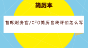 首席财务官/CFO简历自我评价怎么写