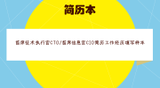 首席技术执行官CTO/首席信息官CIO简历工作经历填写样本
