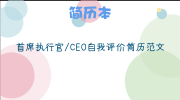 首席执行官/CEO自我评价简历范文