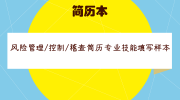 风险管理/控制/稽查简历专业技能填写样本