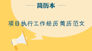 项目执行工作经历简历范文