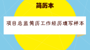 项目总监简历工作经历填写样本