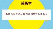 集团人力资源总监简历自我评价怎么写