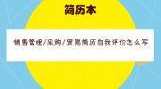 销售管理/采购/贸易简历自我评价怎么写