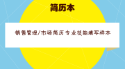 销售管理/市场简历专业技能填写样本