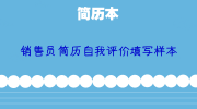 销售员简历自我评价填写样本