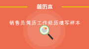 销售员简历工作经历填写样本