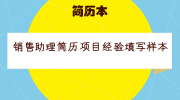 销售助理简历项目经验填写样本