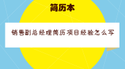 销售副总经理简历项目经验怎么写