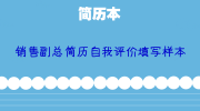 销售副总简历自我评价填写样本