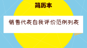 销售代表自我评价范例列表