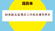 财务副总监简历工作经历填写样本