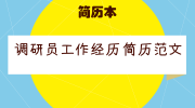 调研员工作经历简历范文