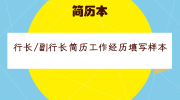 行长/副行长简历工作经历填写样本