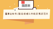 董事会秘书/副总经理工作经历简历范文