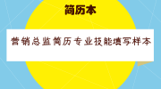 营销总监简历专业技能填写样本