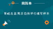 策略总监简历自我评价填写样本