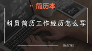 科员简历工作经历怎么写