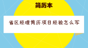 省区经理简历项目经验怎么写