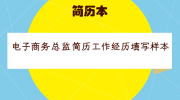 电子商务总监简历工作经历填写样本