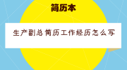 生产副总简历工作经历怎么写
