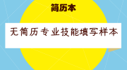 无简历专业技能填写样本