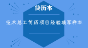 技术总工简历项目经验填写样本