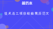 技术总工项目经验简历范文