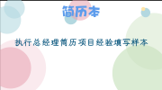 执行总经理简历项目经验填写样本