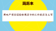 房地产项目招投标简历中的工作经历怎么写