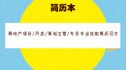 房地产项目/开发/策划主管/专员专业技能简历范文