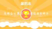 总账会计简历专业技能填写样本
