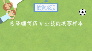 总经理简历专业技能填写样本