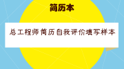 总工程师简历自我评价填写样本