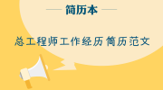 总工程师工作经历简历范文
