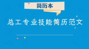 总工专业技能简历范文