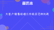 大客户销售经理工作经历范例列表